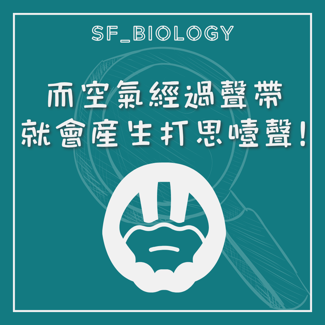 空氣通過聲門時發出打思噎聲的說明