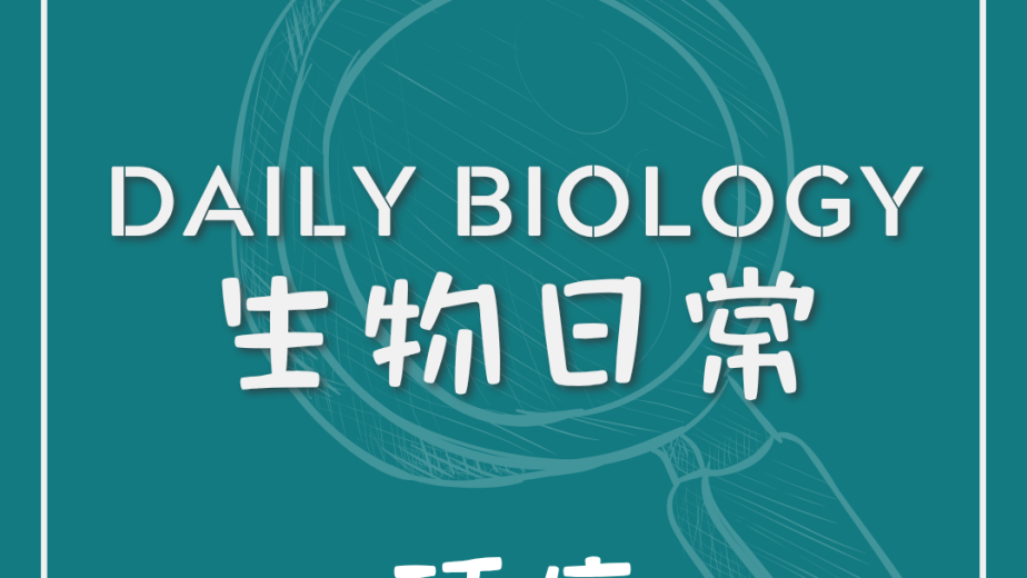 生物日常濕頭與頭痛迷思主題封面