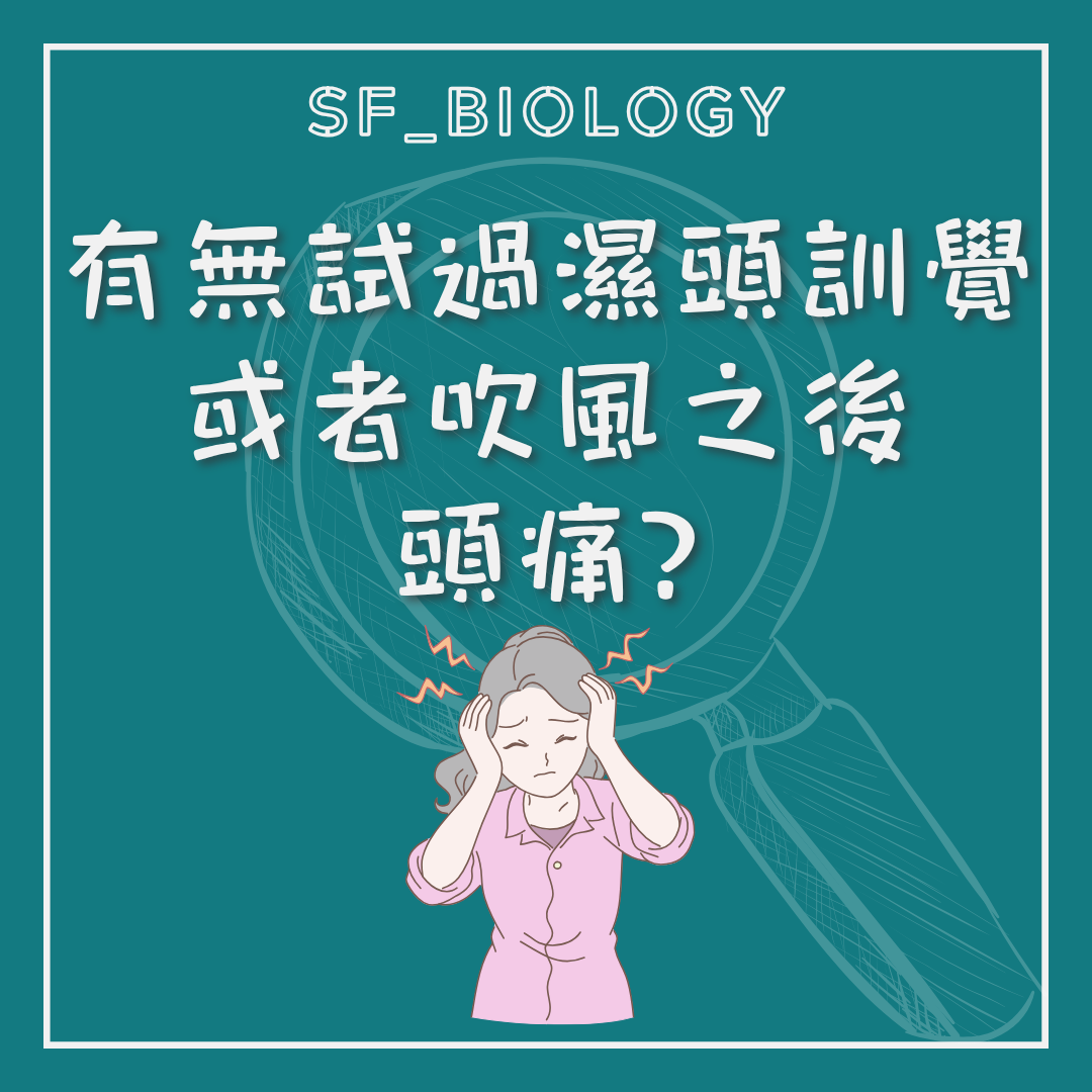 濕頭或吹風後會否頭痛的趣味提問插圖