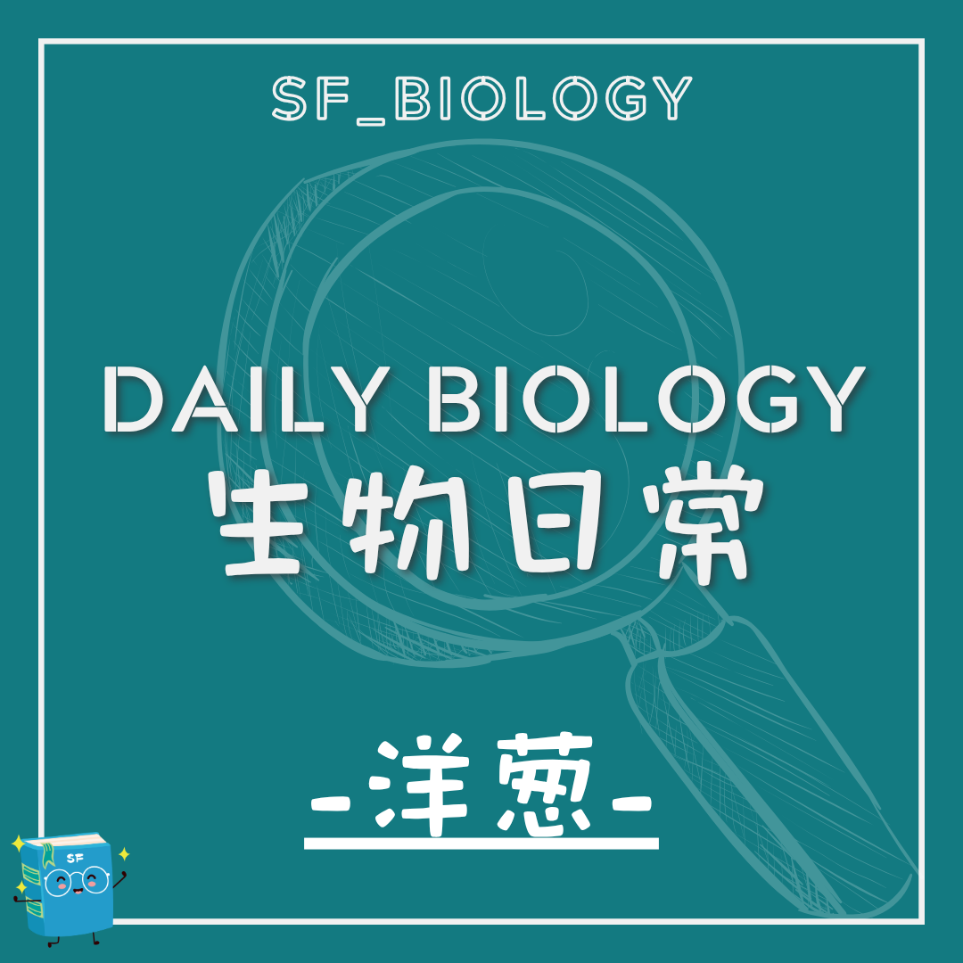 生物日常洋蔥催淚因子主題封面
