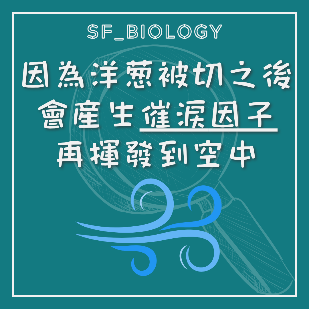 切洋蔥後催淚因子揮發到空氣的說明