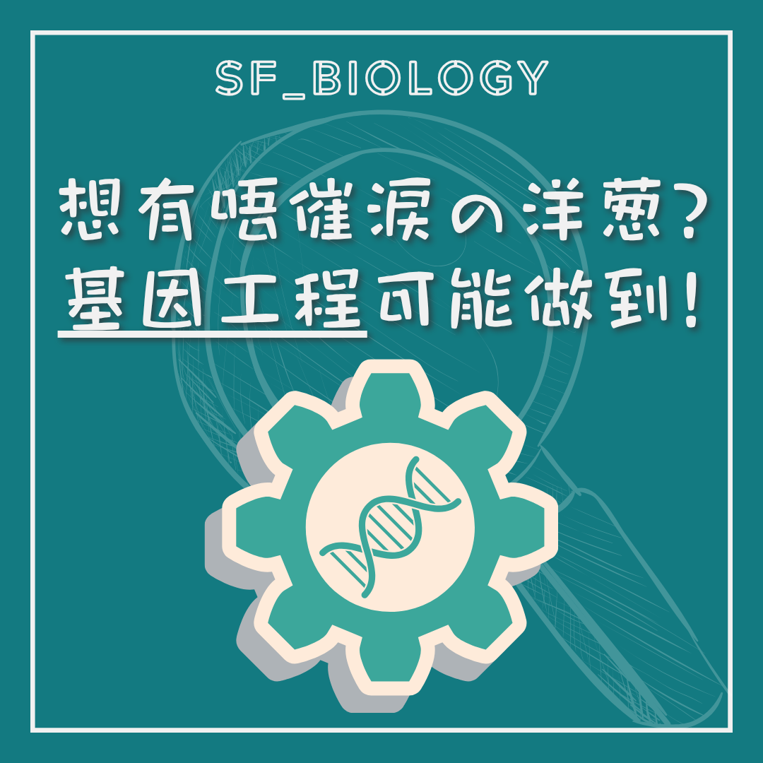 基因工程可改變洋蔥催淚因子產生的提問
