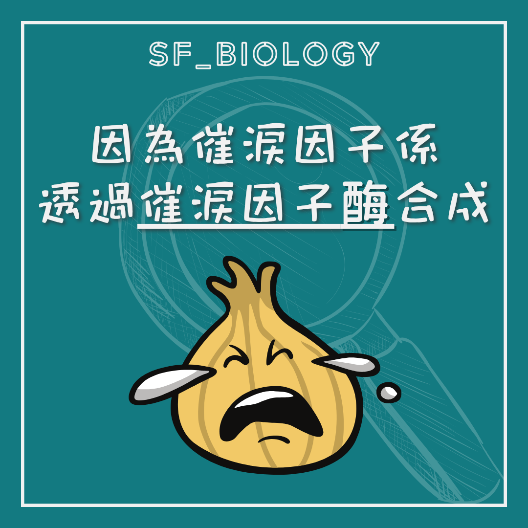 催淚因子由特定合成酵素參與形成的說明