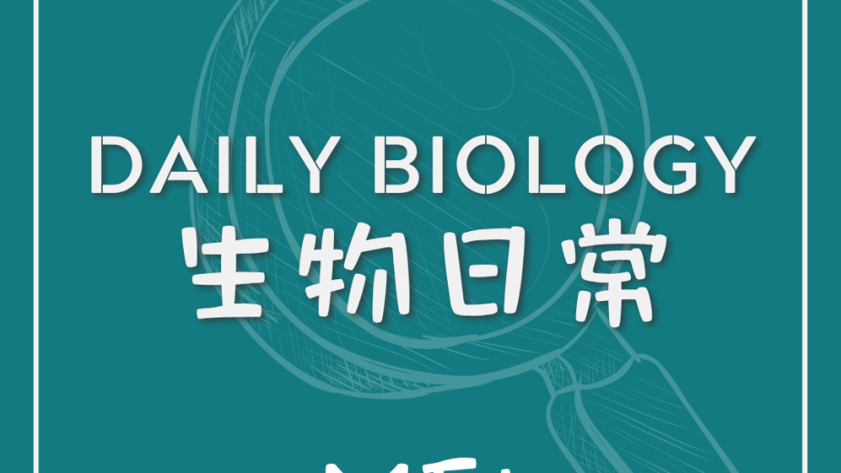 生物日常經前綜合症主題封面