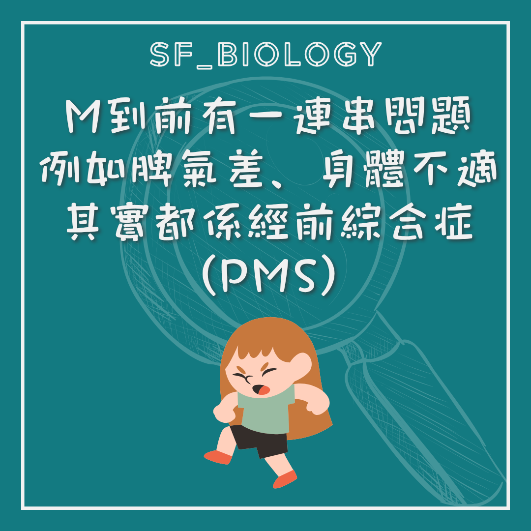 經前身體與情緒症狀統稱 PMS 的說明