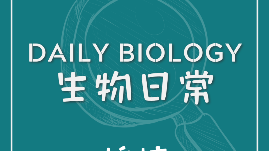 生物日常拍蚊與逃逸反應主題封面