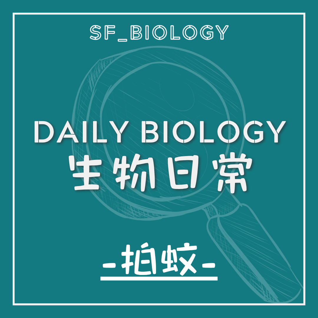 生物日常拍蚊與逃逸反應主題封面