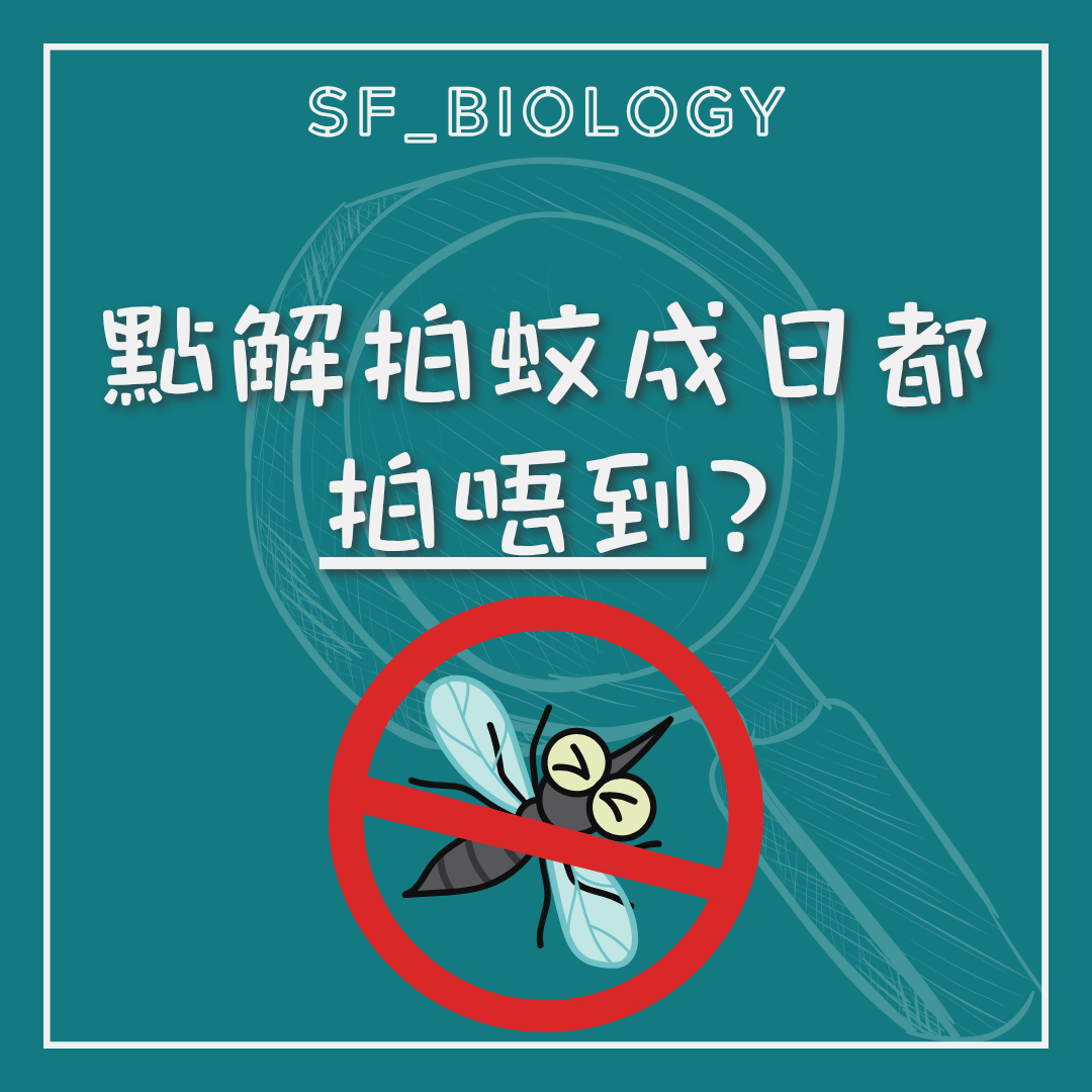 拍蚊時為何常常打不中的趣味提問