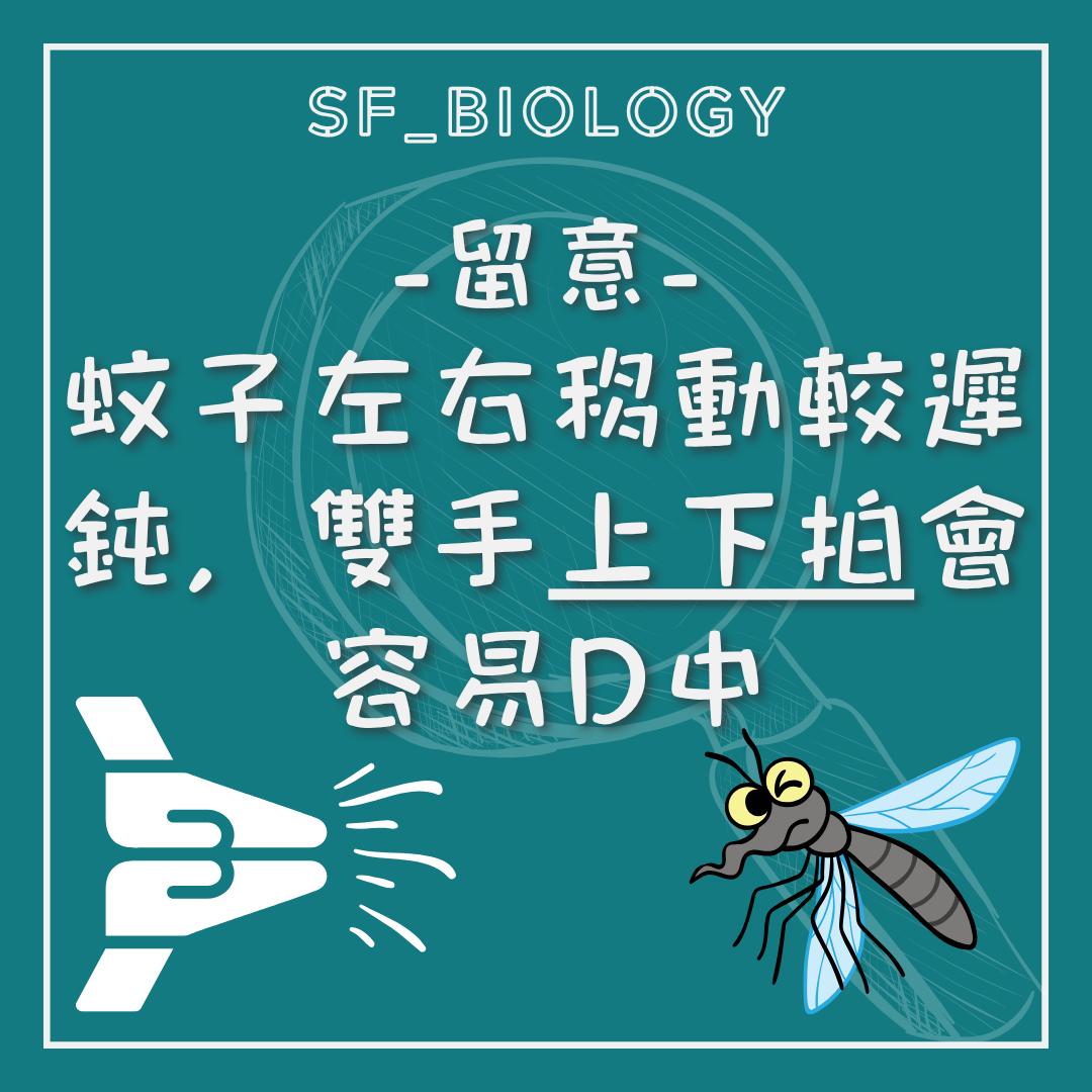 蚊子移動較慢時雙手合拍較易命中的提示