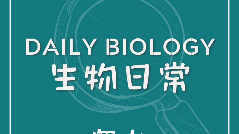 生物日常睾丸位置與溫度調節主題封面