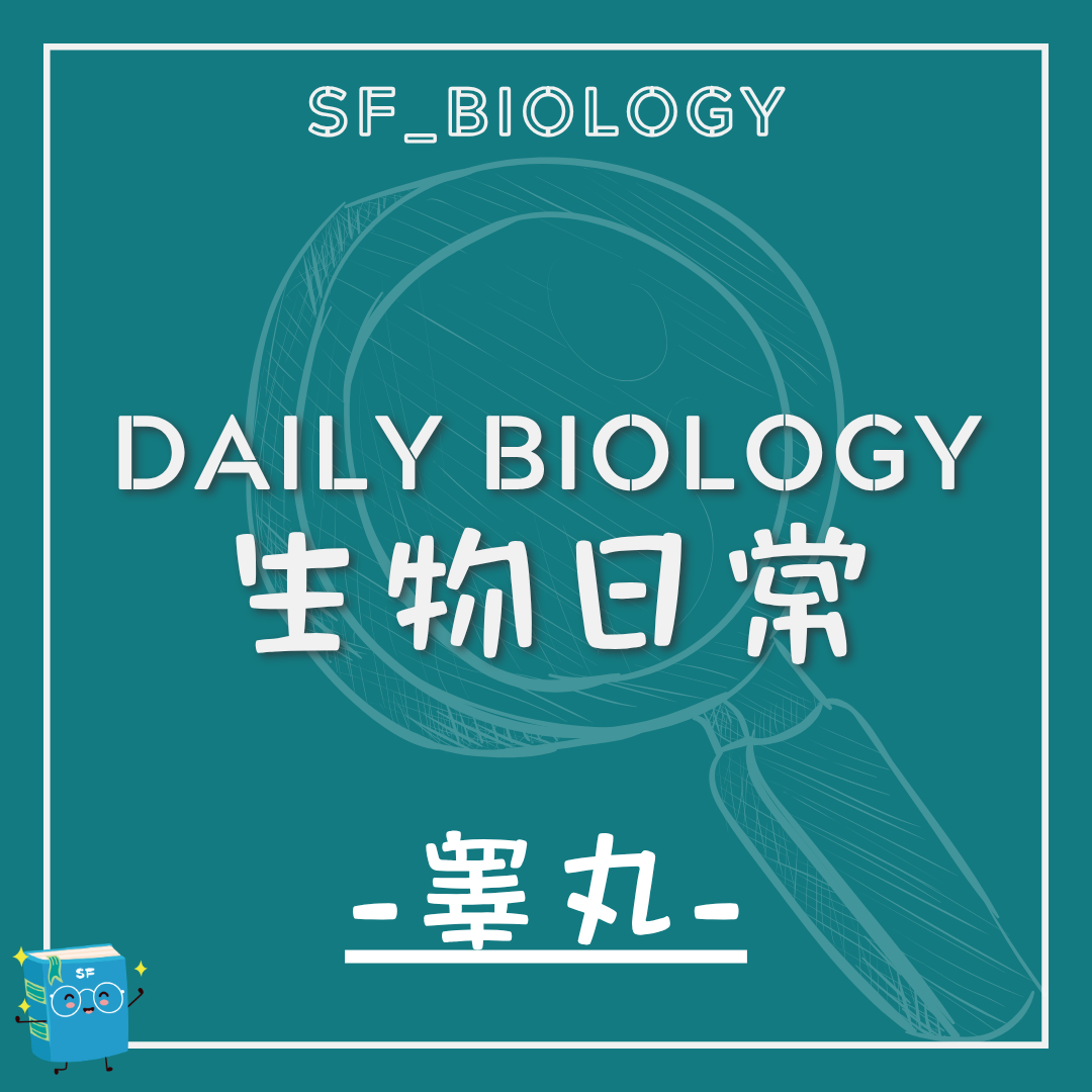 生物日常睾丸位置與溫度調節主題封面