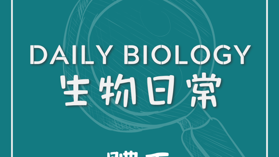 生物日常體毛差異主題封面