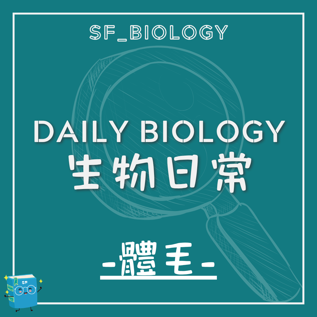 生物日常體毛差異主題封面
