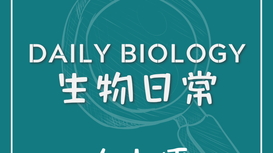 生物日常排尿與排便協調主題封面