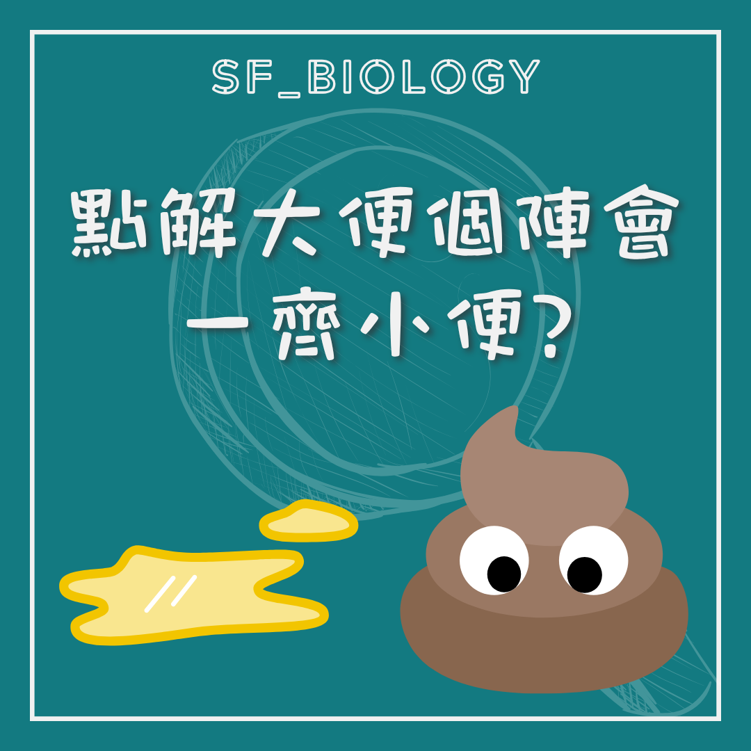 大小便為何有時會同時出現的趣味提問