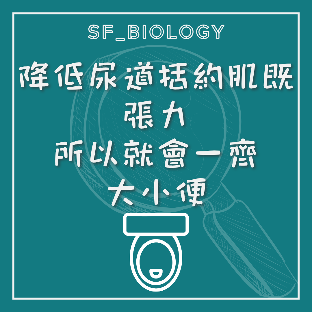 排尿時亦可能引起便意的說明