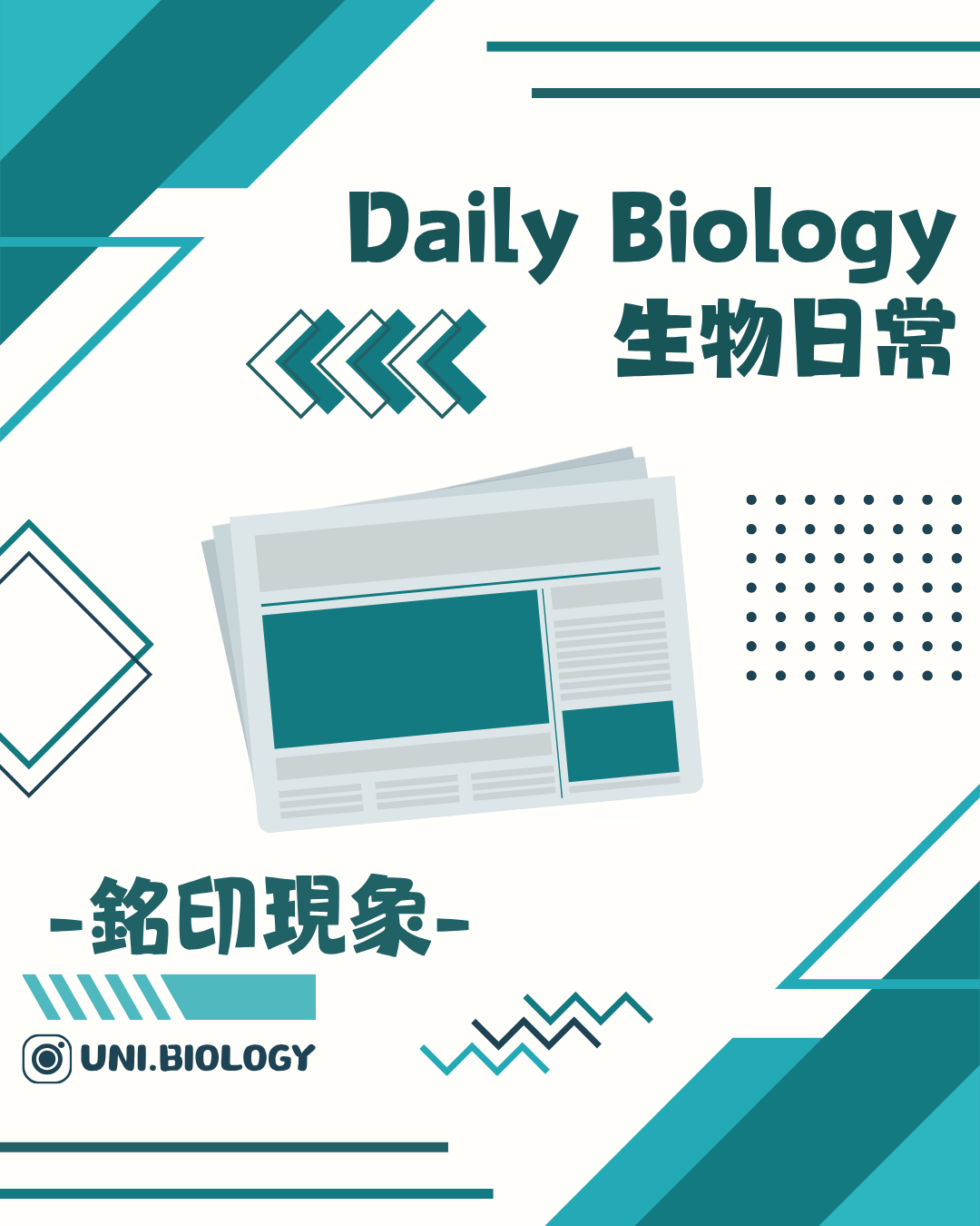 生物日常動物銘印現象主題封面