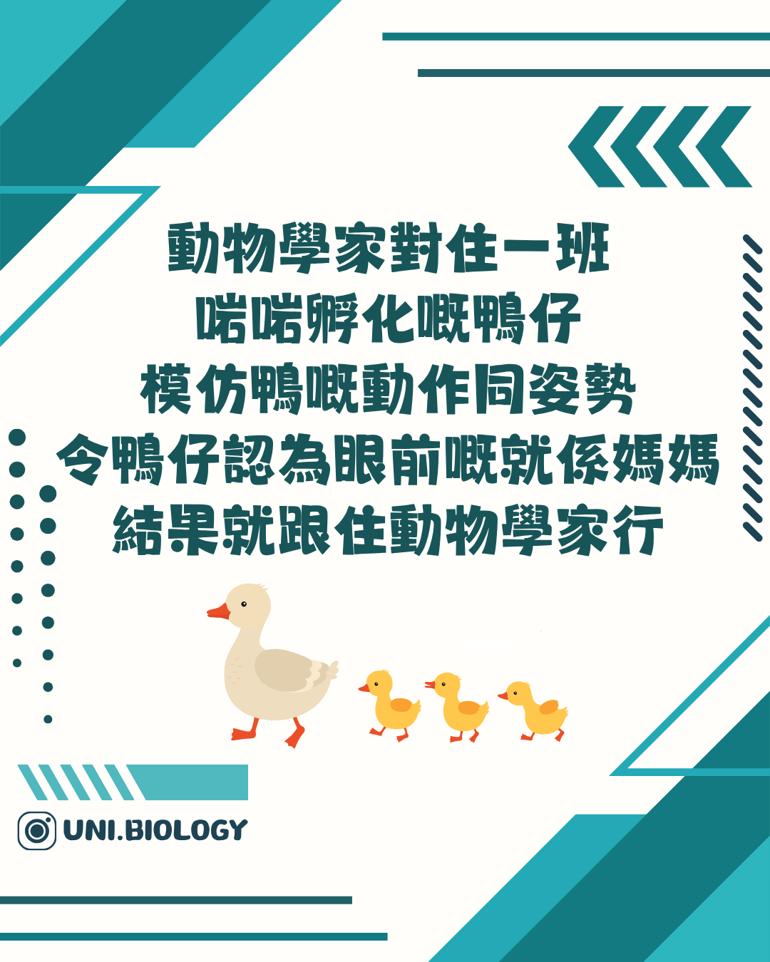不同物種銘印敏感期並不相同的說明