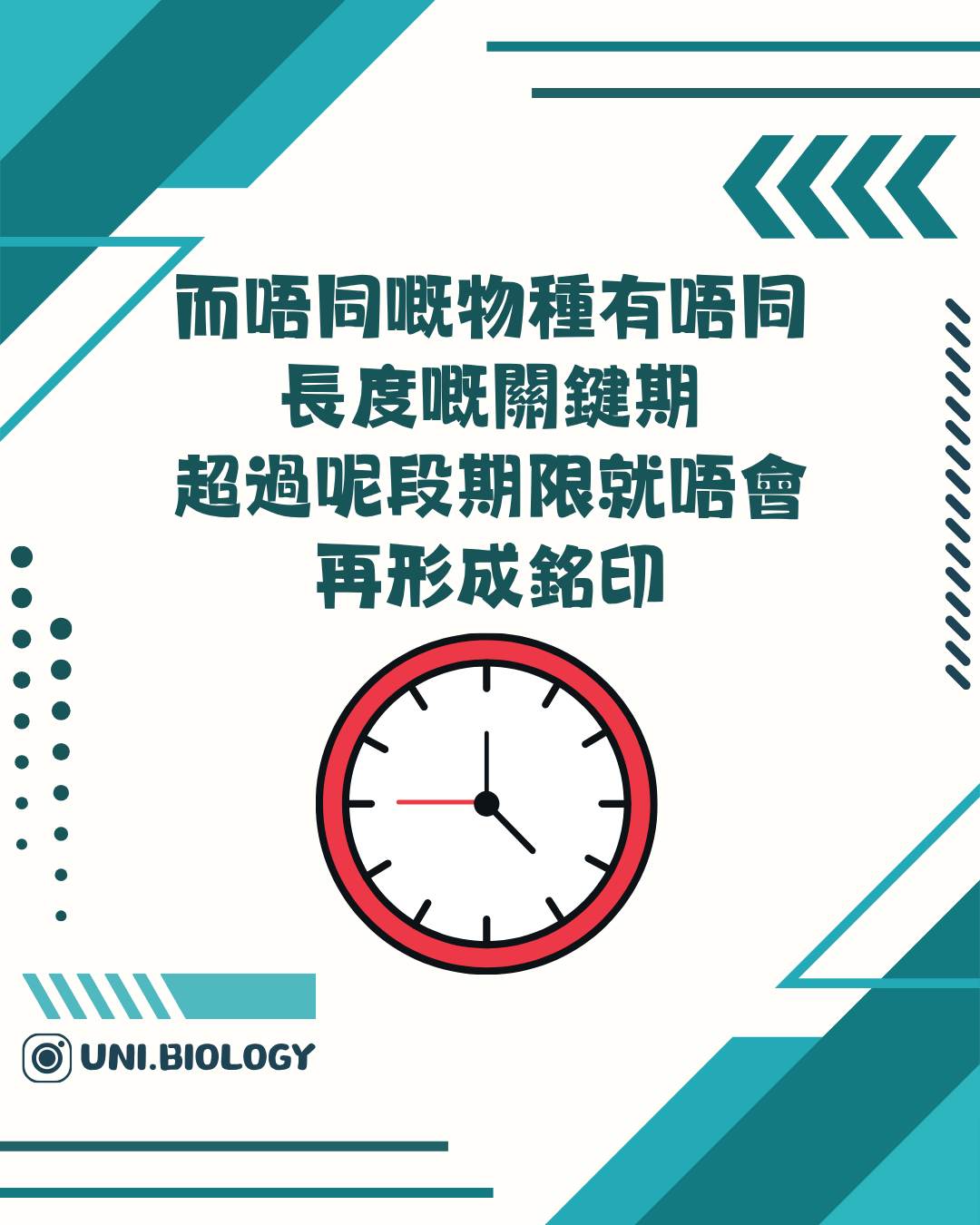 鳥類銘印同時受先天傾向與早期經驗影響的說明