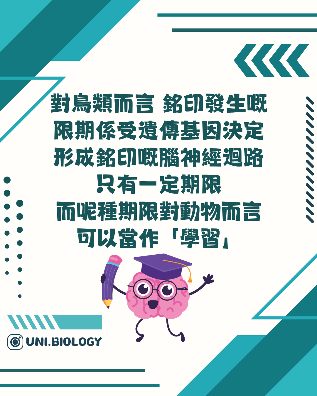 銘印在敏感期內較容易形成的神經學概念