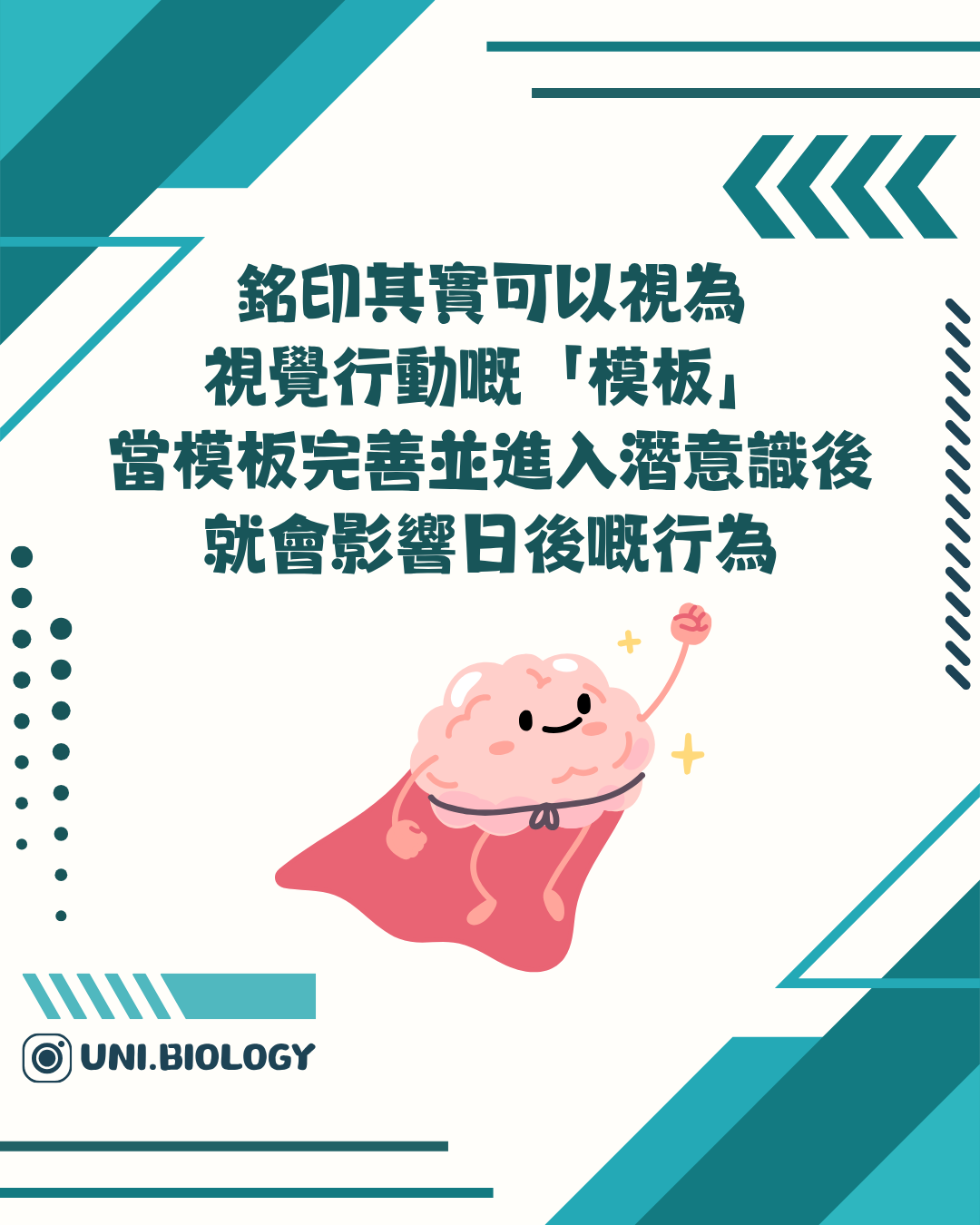銘印形成的視覺模板可影響其後行為的說明