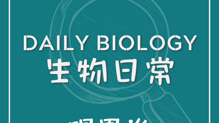 生物日常腸胃炎主題封面