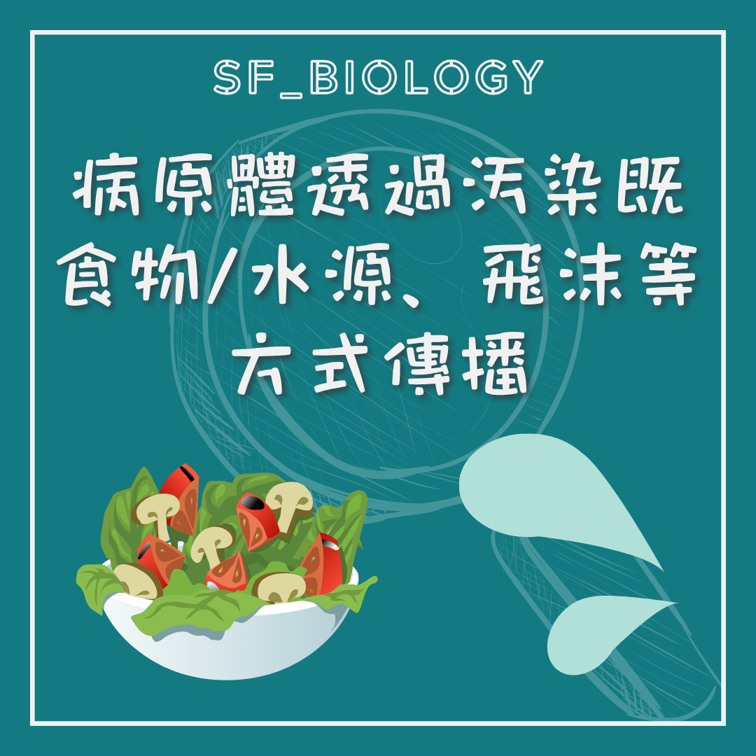 病原體可經受污染食物水源或接觸傳播的說明