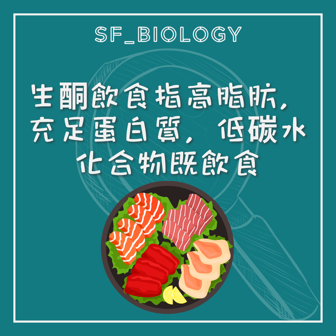 高脂肪低碳水化合物生酮飲食示意