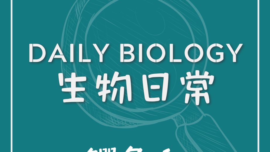 生物日常鱷魚血與先天免疫主題封面