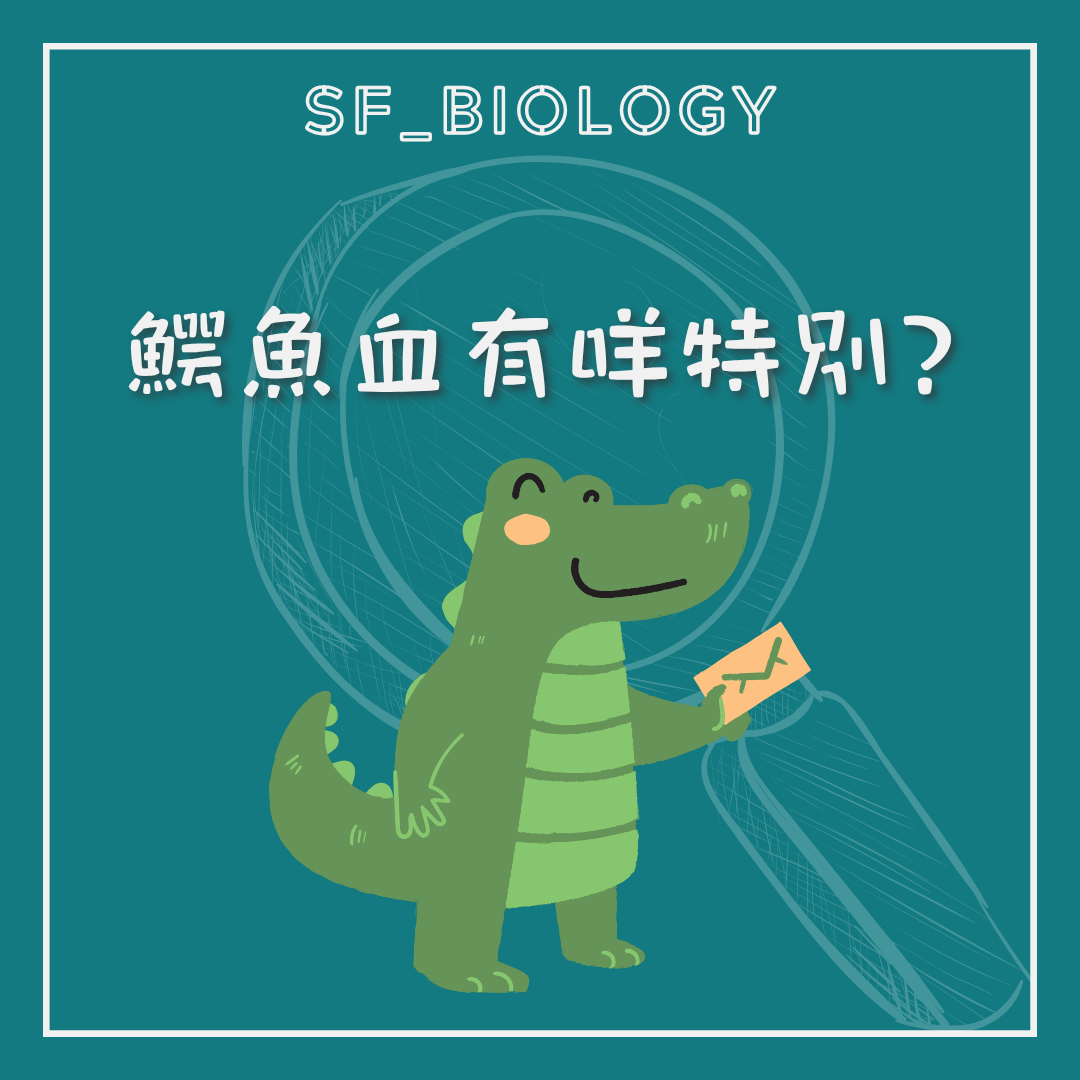 鱷魚血有何特別的趣味提問
