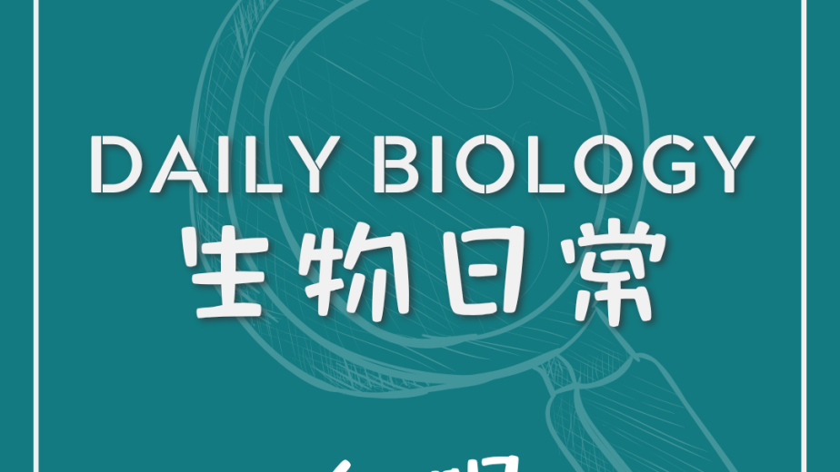 生物日常相片紅眼效應主題封面