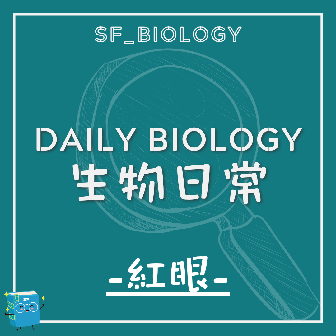 生物日常相片紅眼效應主題封面