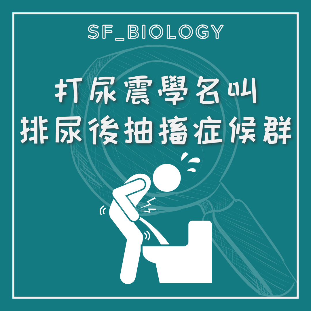 排尿後顫抖俗稱尿震的說明