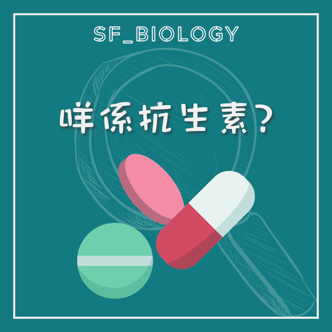 抗生素可殺死或抑制細菌的基本定義