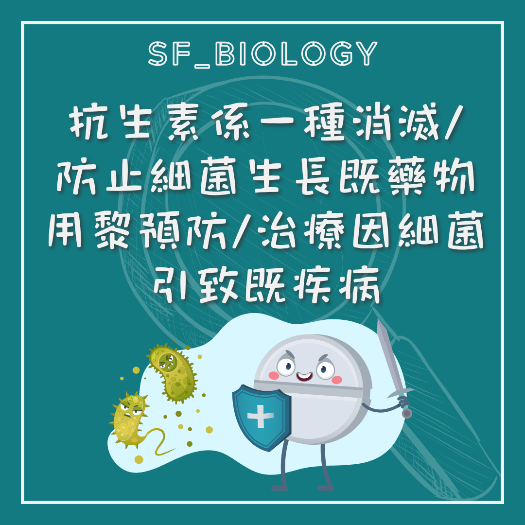 青霉素源自黴菌產物的歷史說明