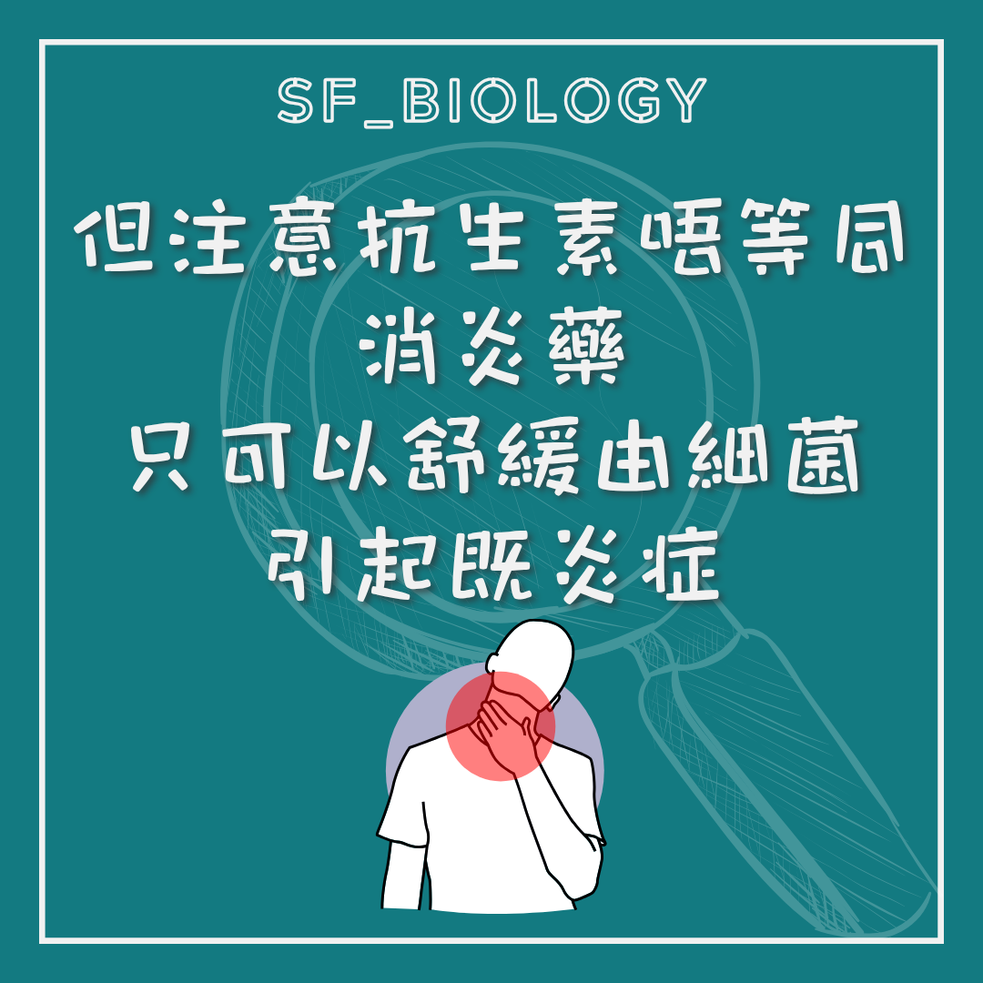 抗生素對病毒感染無效的說明