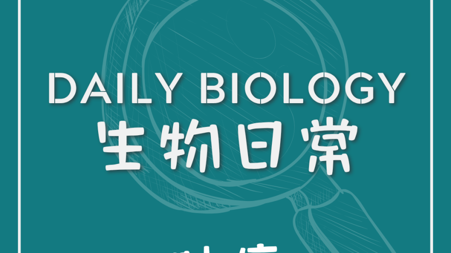 生物日常緊張與肚痛主題封面