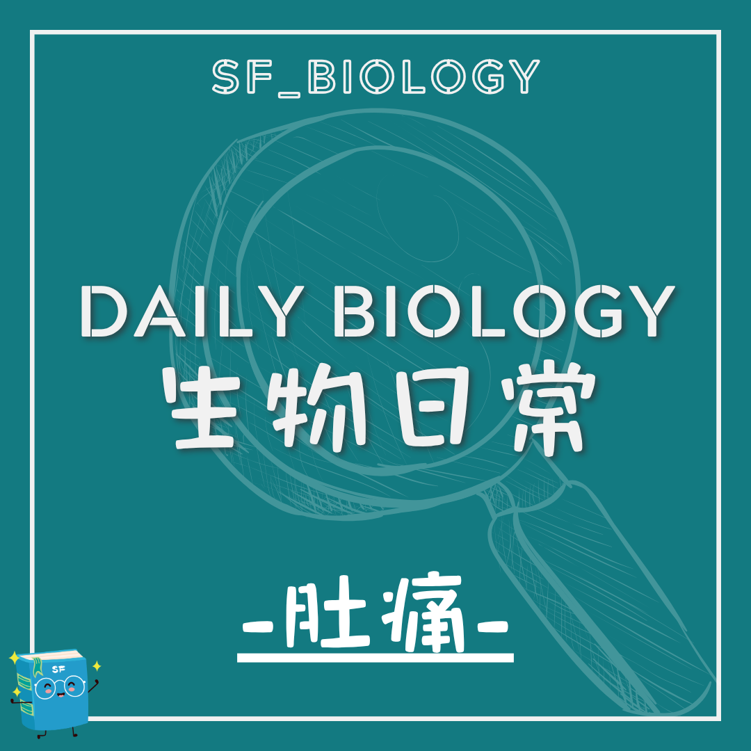 生物日常緊張與肚痛主題封面