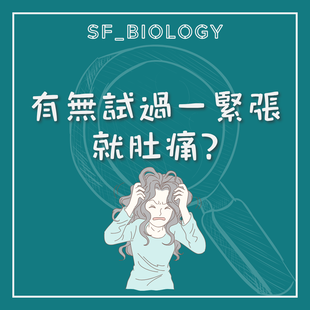 為何緊張時會突然肚痛的提問