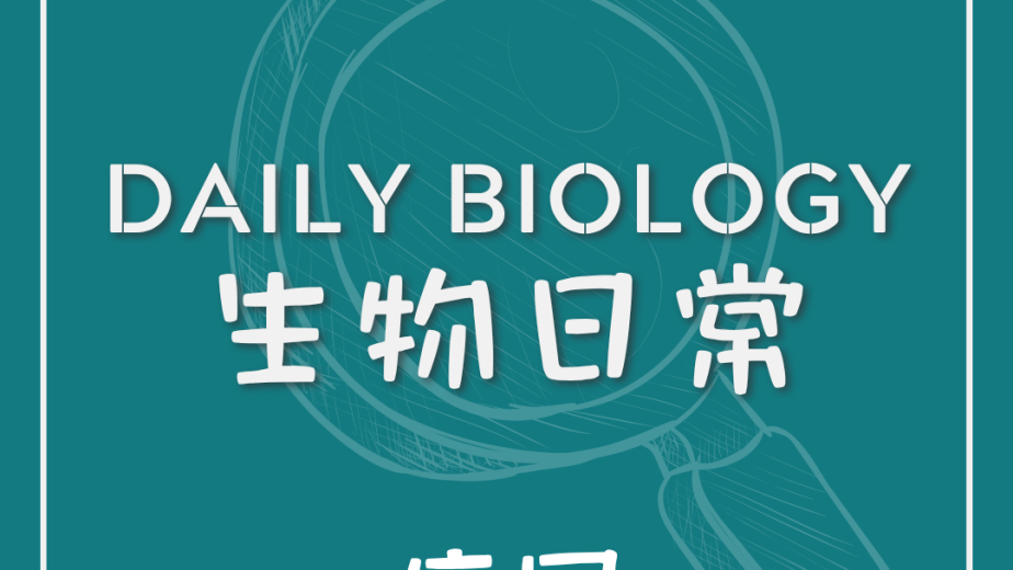 生物日常痛風與尿酸結晶主題封面