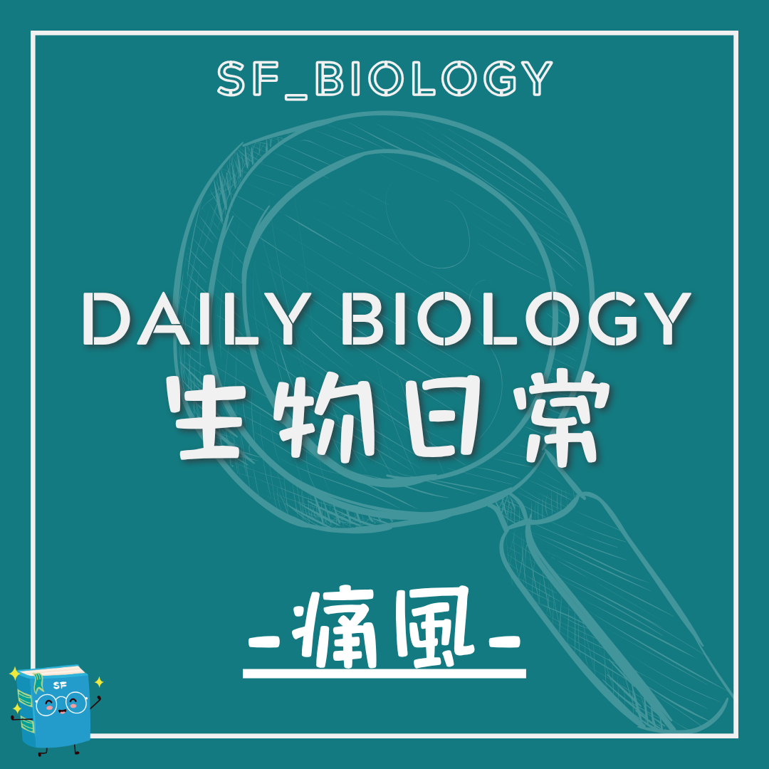 生物日常痛風與尿酸結晶主題封面
