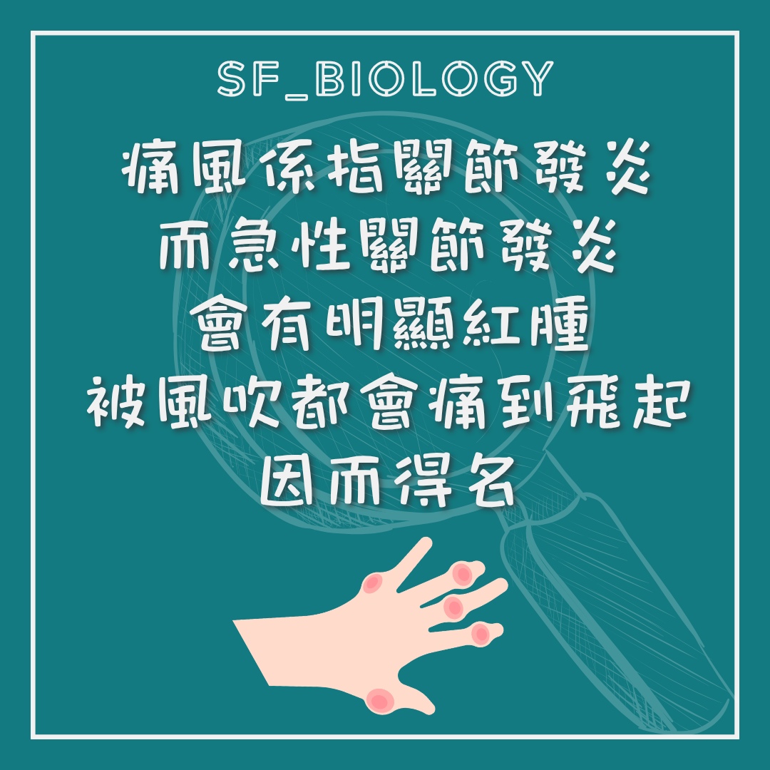 痛風可造成急性關節紅腫劇痛的說明