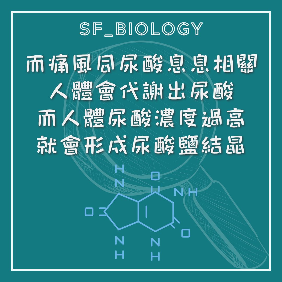 尿酸過高增加尿酸鹽結晶形成風險的說明