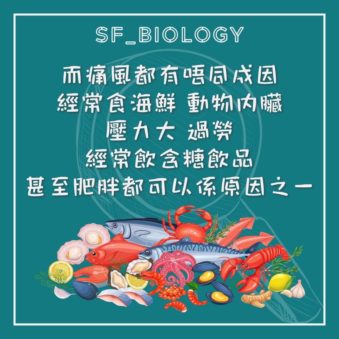 痛風發作與飲食體重及身體狀況等風險因素的說明