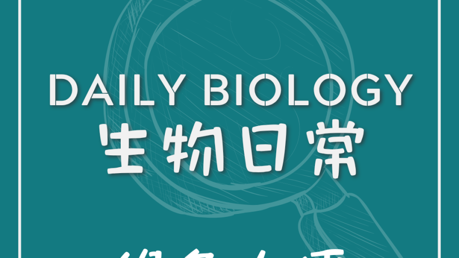 生物日常新生兒綠色胎便主題封面