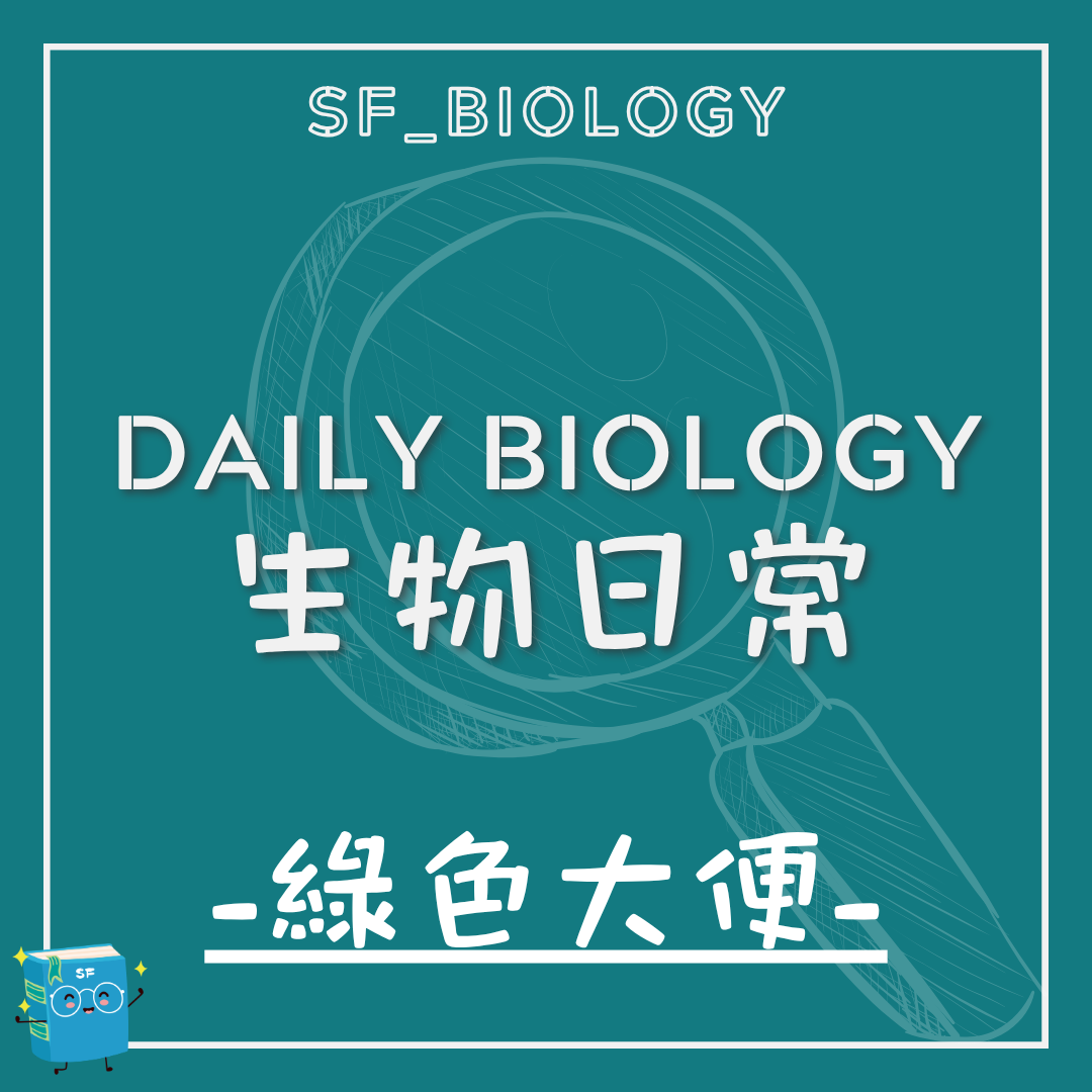 生物日常新生兒綠色胎便主題封面