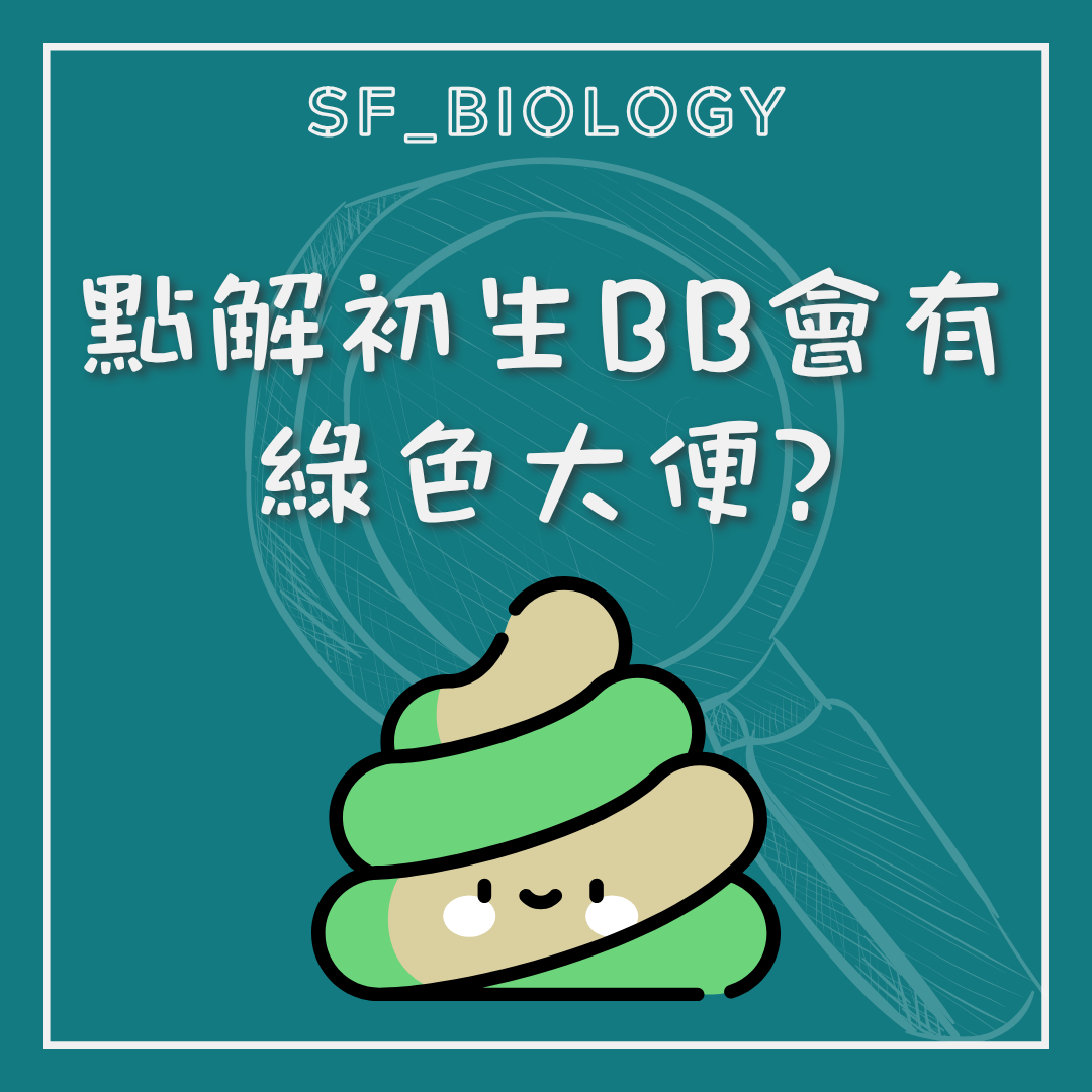 初生嬰兒為何會有綠色大便的提問