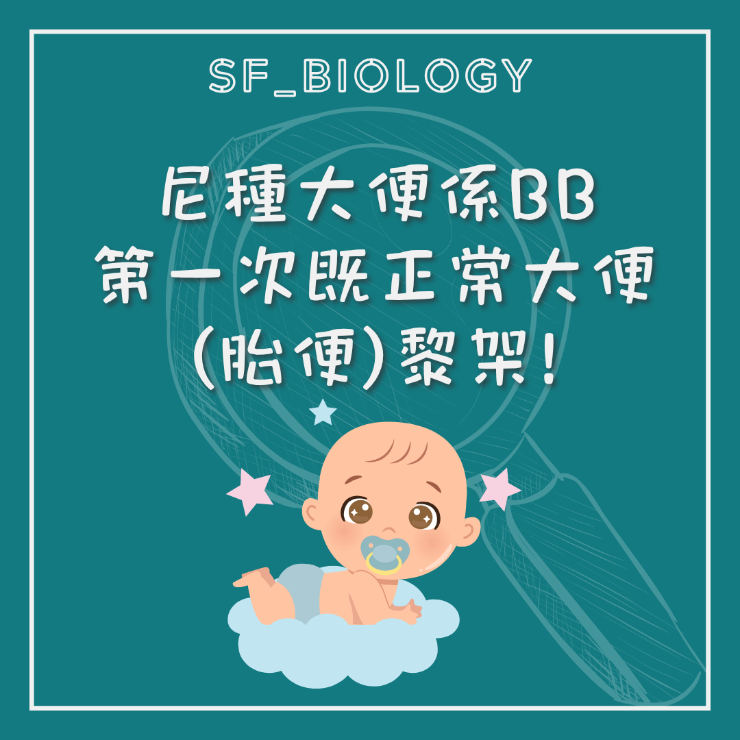 新生兒第一次排出深綠近黑胎便的說明