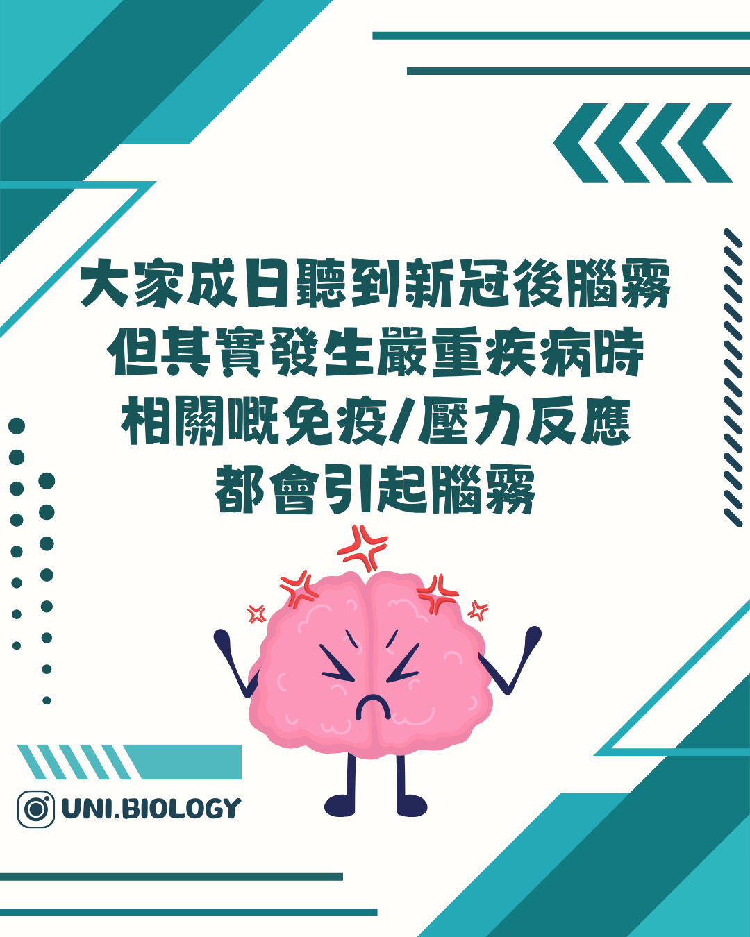 感染壓力免疫反應等可造成腦霧的說明