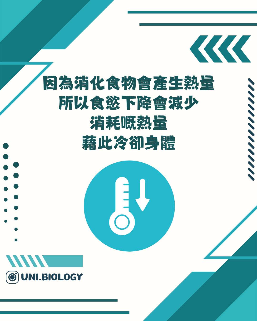 進食後食物熱效應與體溫調節的概念